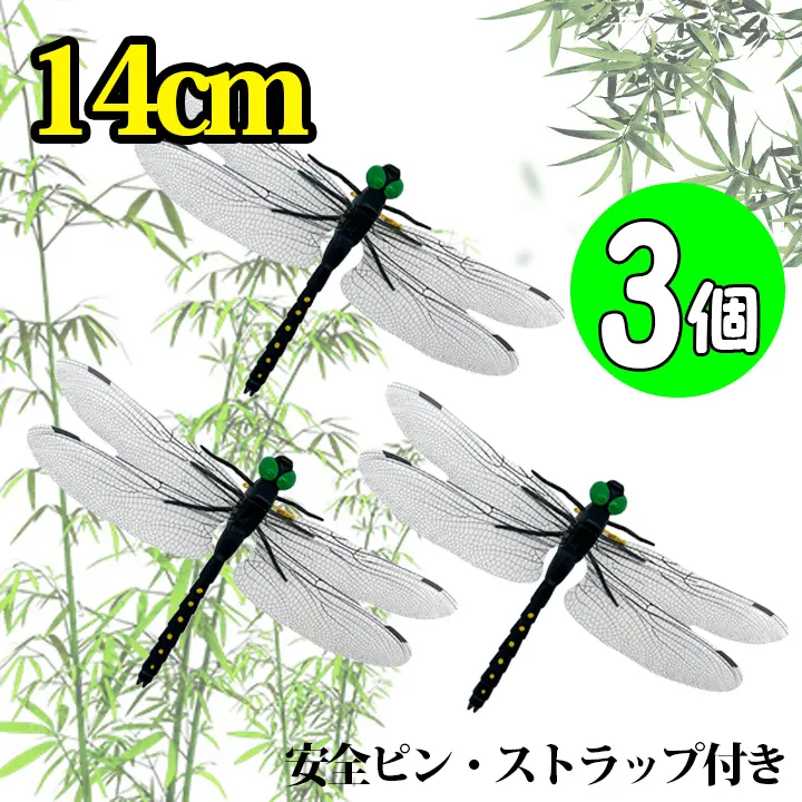 カワセミ　昆虫標本　コガネムシ カワセミ 昆虫標本 コガネムシ backend=imagemagick;version=1;