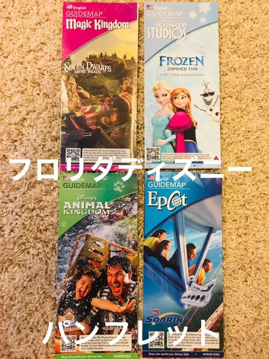 ディズニーワールド パンフレットセット 2009年
