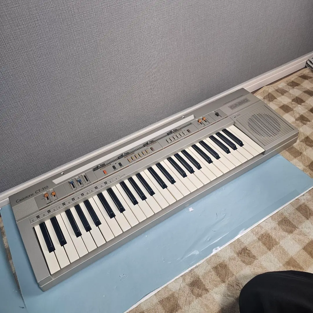 Silver Casiotone CT-310 Keyboard - Gil & Roy Props