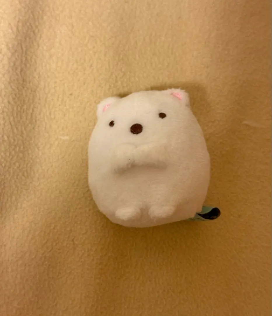 Thumbnail of White bear stuffed animal