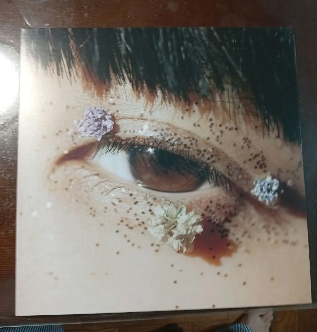 カネコアヤノ 祝祭 LP 重量版 Amazon.co.jp: カネコアヤノ 祝祭 LPレコード 重量盤 アナログ