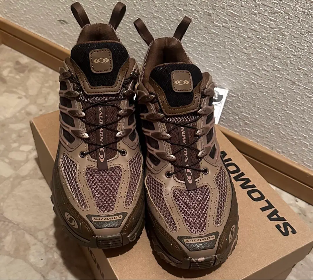 2025年最新】salomon acs pro desertの人気アイテム - メルカリ