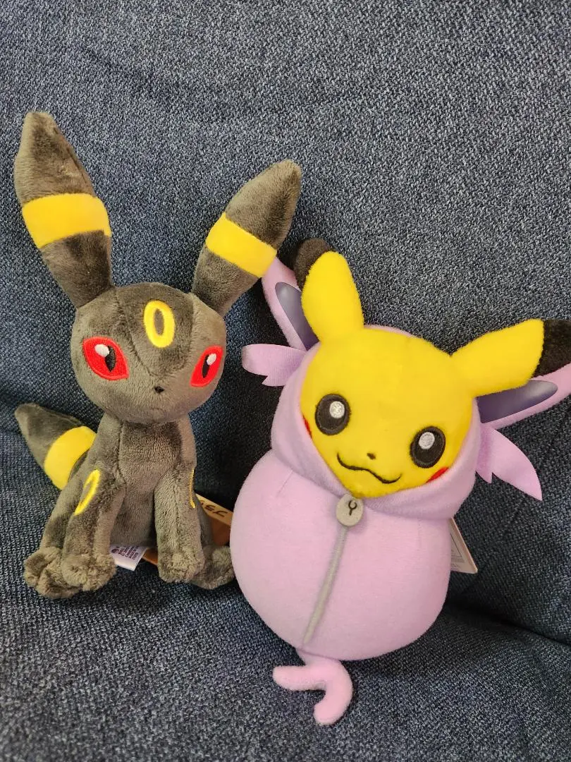 SAZAC(サザック) キャラクター フリース 着ぐるみ ポケモン