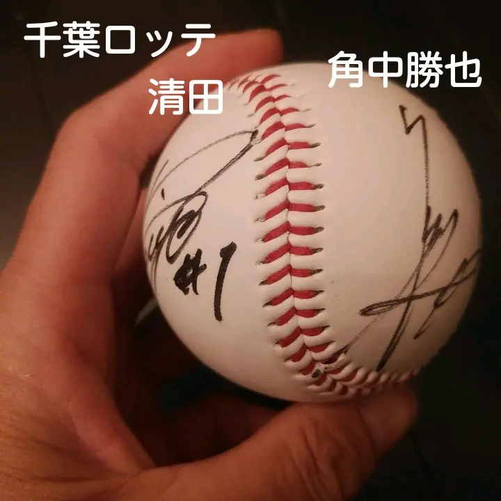 清田育宏 5点セット 実使用 キャップ ロッテ 直筆サイン 千葉ロッテマリーンズ 清田育宏 5点セット 実使用 キャップ ロッテ 直筆サイン 千葉
