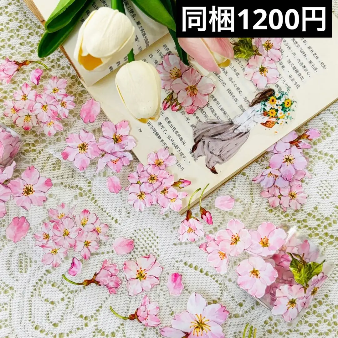 新品 初見系列 PET亮面和紙膠帶 紙膠帶 5m 的縮圖