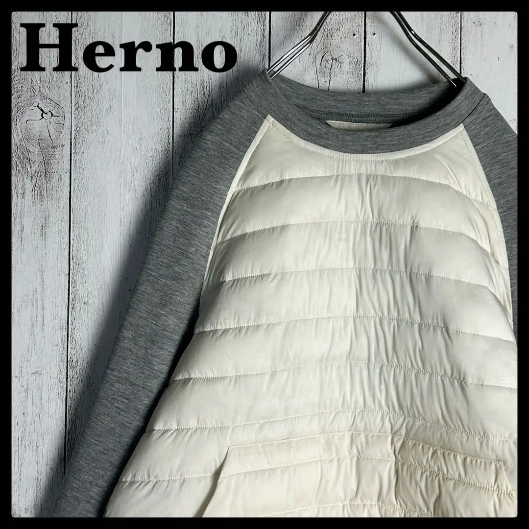 ヘルノ HERNO☆ダウン切り替えスウェット バックロゴ 即完売注意 2025年最新】ヘルノ トレーナー・スウェットの人気アイテム