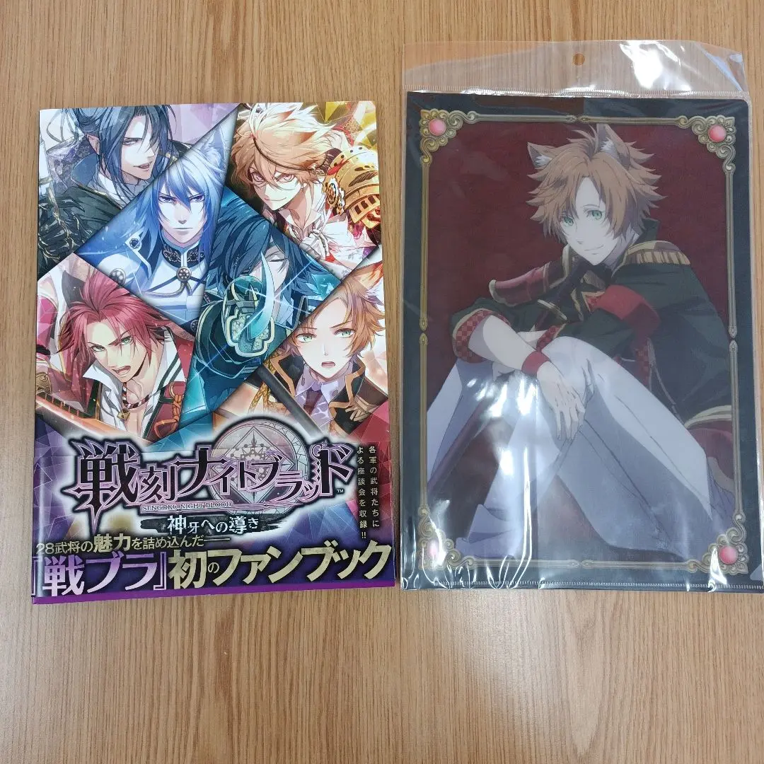 戦刻ナイトブラッド 光盟 カードストーリー集 アニメイト特典 戦刻ナイトブラッド 光盟 カードストーリー集 アニメイト特典