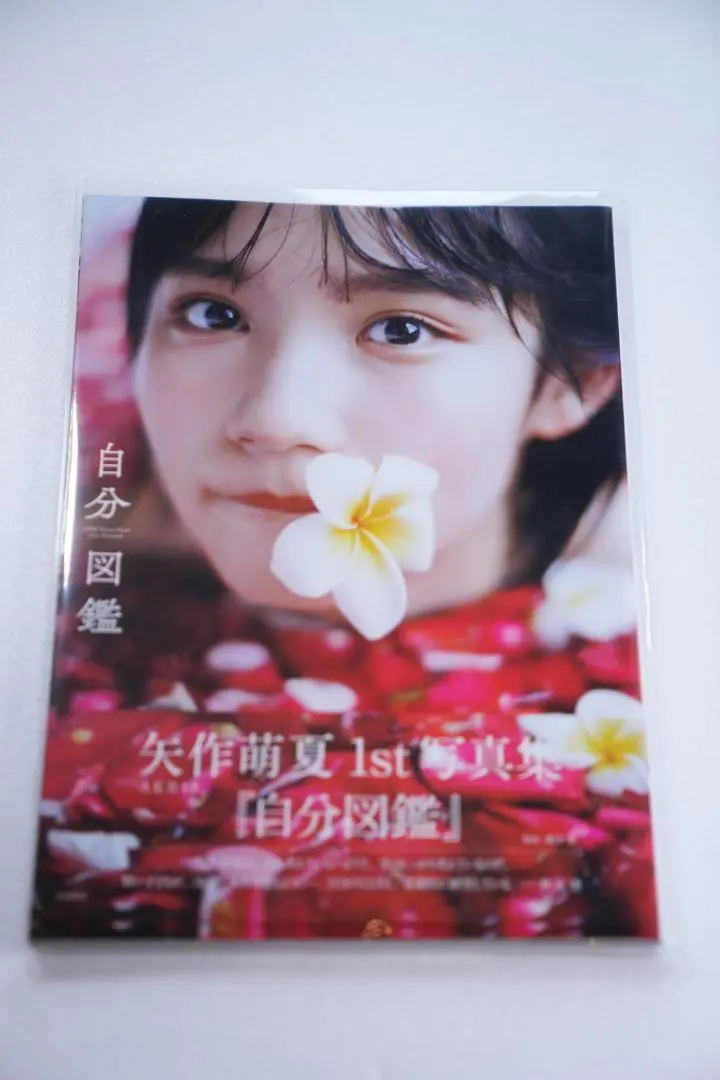 AKB48 - 矢作萌夏 1st 写真集 自分図鑑 2冊 直筆サイン入り ＋未開封新品本＋おまけ Books Kinokuniya: AKB48矢作萌夏1st写真集 自分図鑑