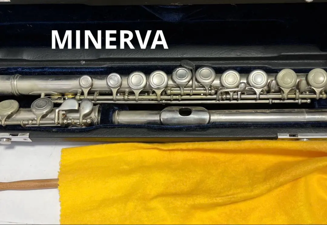 2025年最新】MINERVA 管楽器・吹奏楽器の人気アイテム - メルカリ