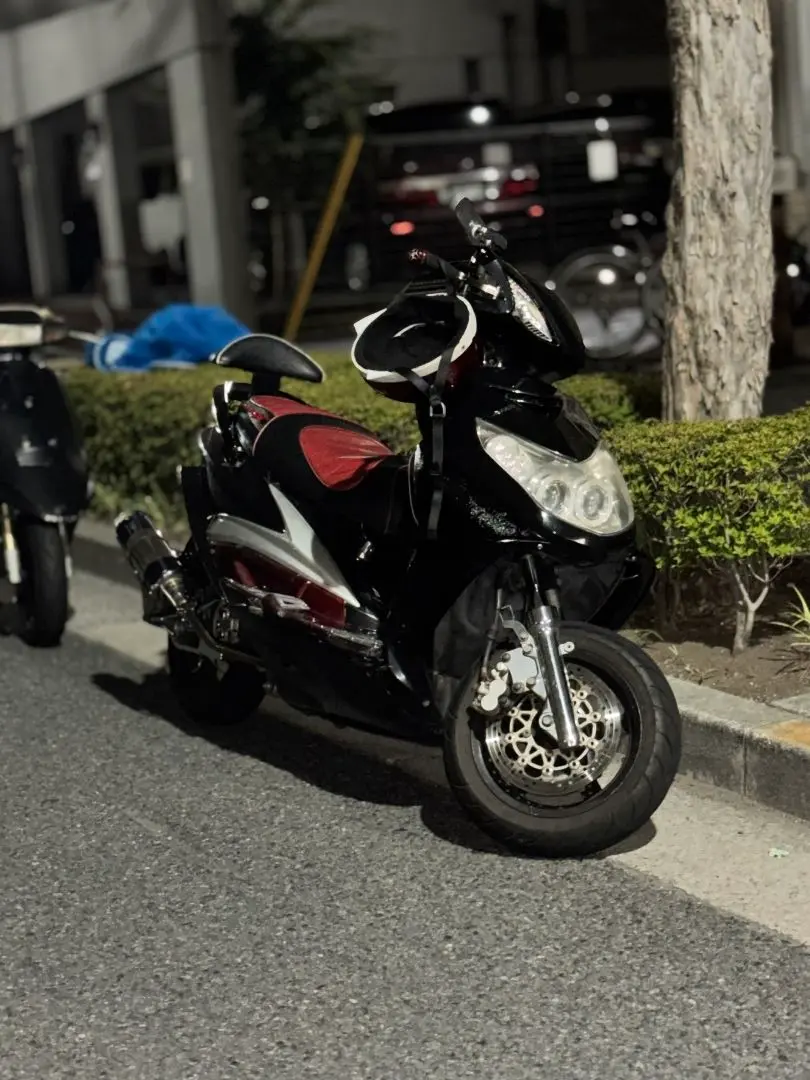 1型から3型まで シグナスX用 10センチロンホイセット シグナス2型3型ロンホイキット25センチ