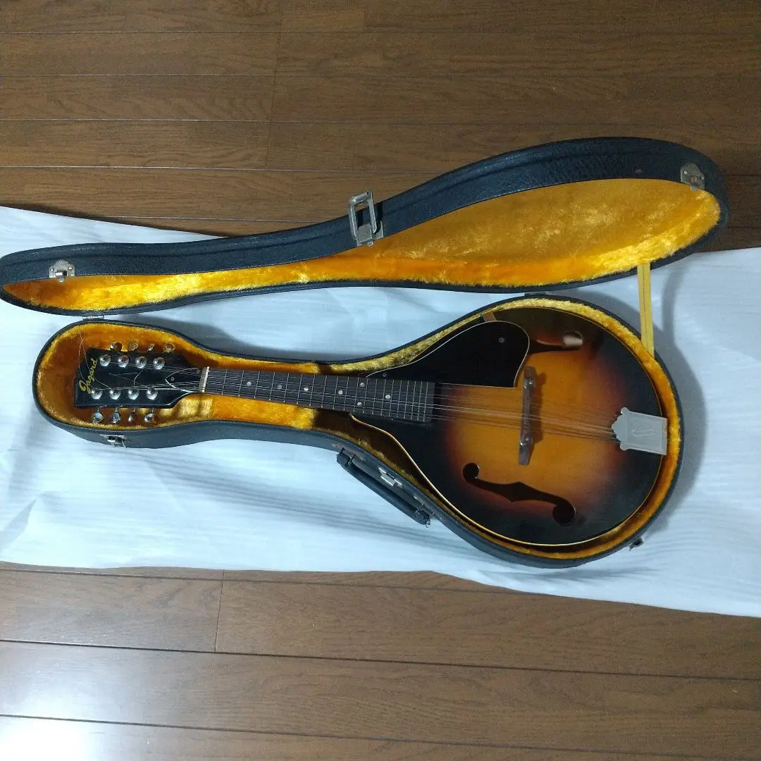 SUZUKI 鈴木 　フラットマンドリン　ヴィンテージ　中古 SUZUKI 鈴木 フラットマンドリン ヴィンテージ 中古 - メルカリ