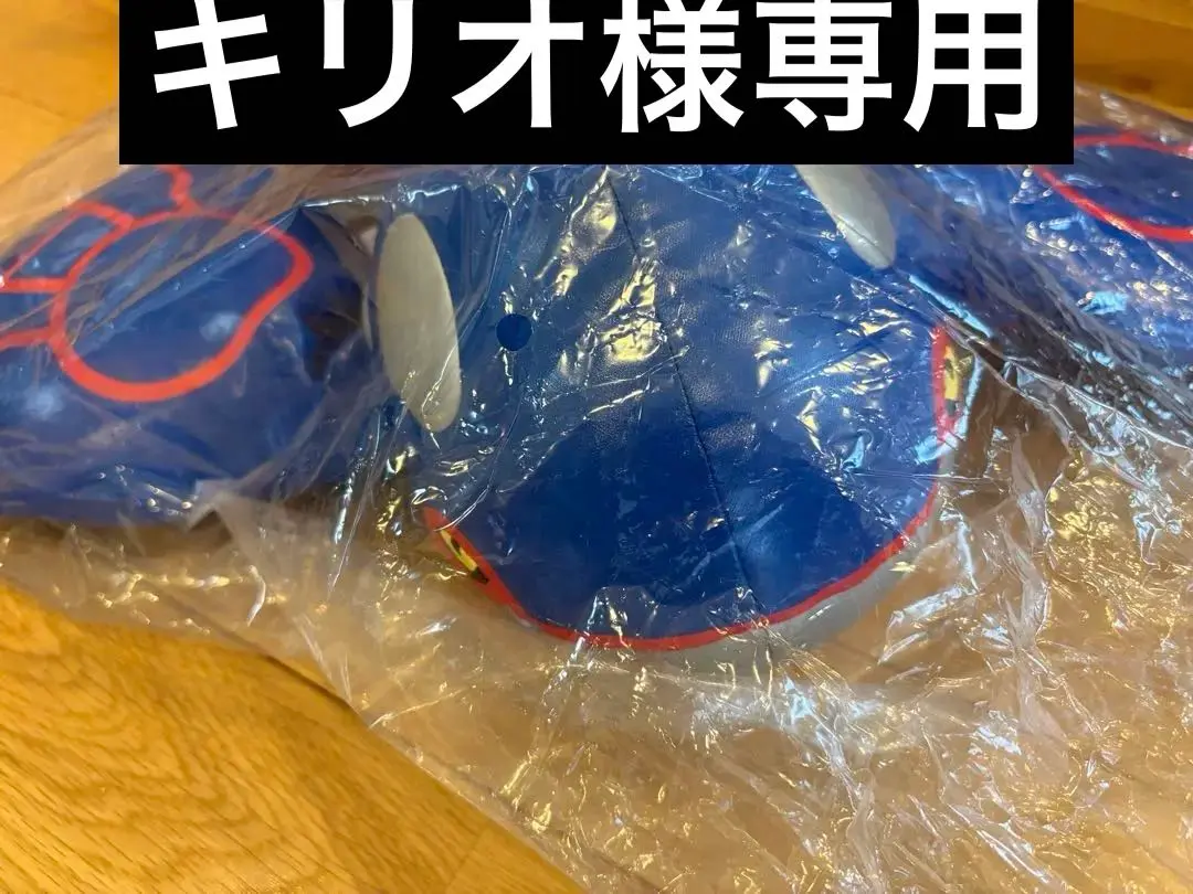 レア 美品 ポケパーク ミュウ ドール ドールズ ぬいぐるみ 12