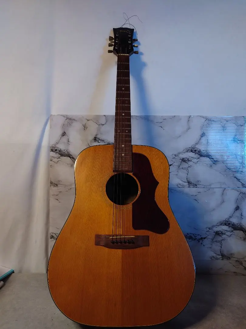 Gibson J-15 2014 #2 ハードケース Gibson J-15 2014 #2 ハードケース Gibson J-15 2014 #2 ハード