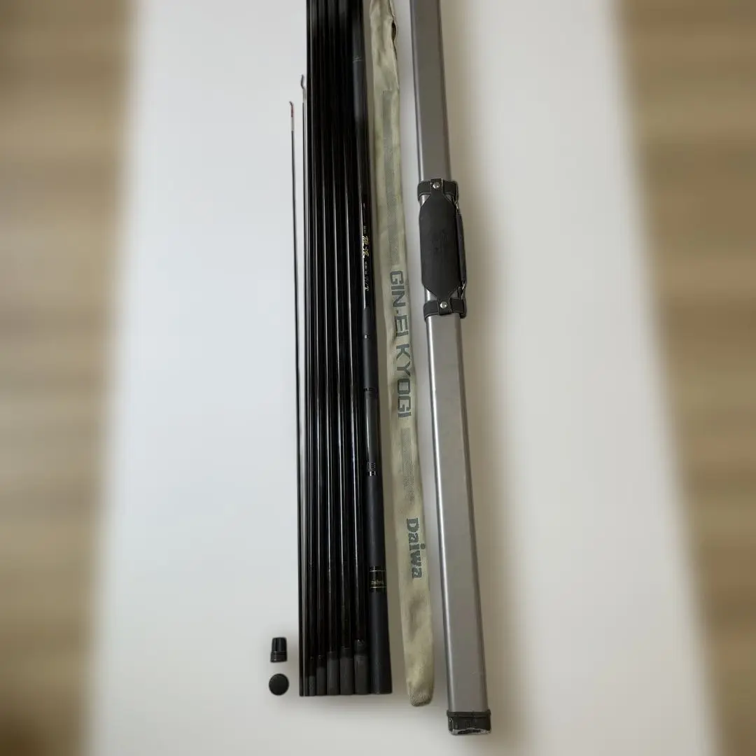 ダイワ　銀影　硬派　早瀬抜　90SG ダイワ(Daiwa) 銀影競技メガトルクIII 早瀬抜90SG 06220820
