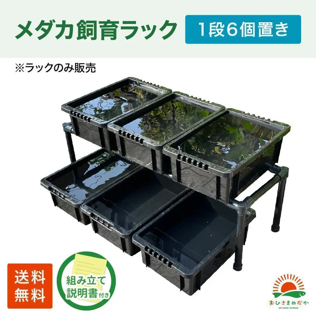 トロファスト＋ダイソー メダカ水槽用容器31個セット 中古品 トロファスト＋ダイソー メダカ水槽用容器31個セット 中古品