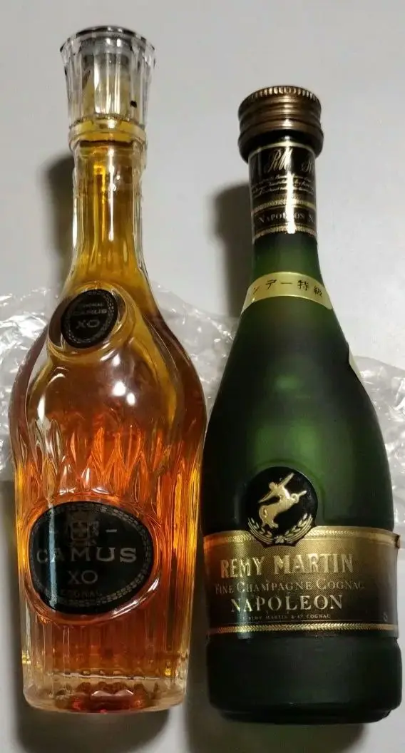 DE LUZE XO コニャック ミニボトル付き　値下げしました。 DE LUZE XO コニャック ミニボトル付き 値下げしました。 ブランデー