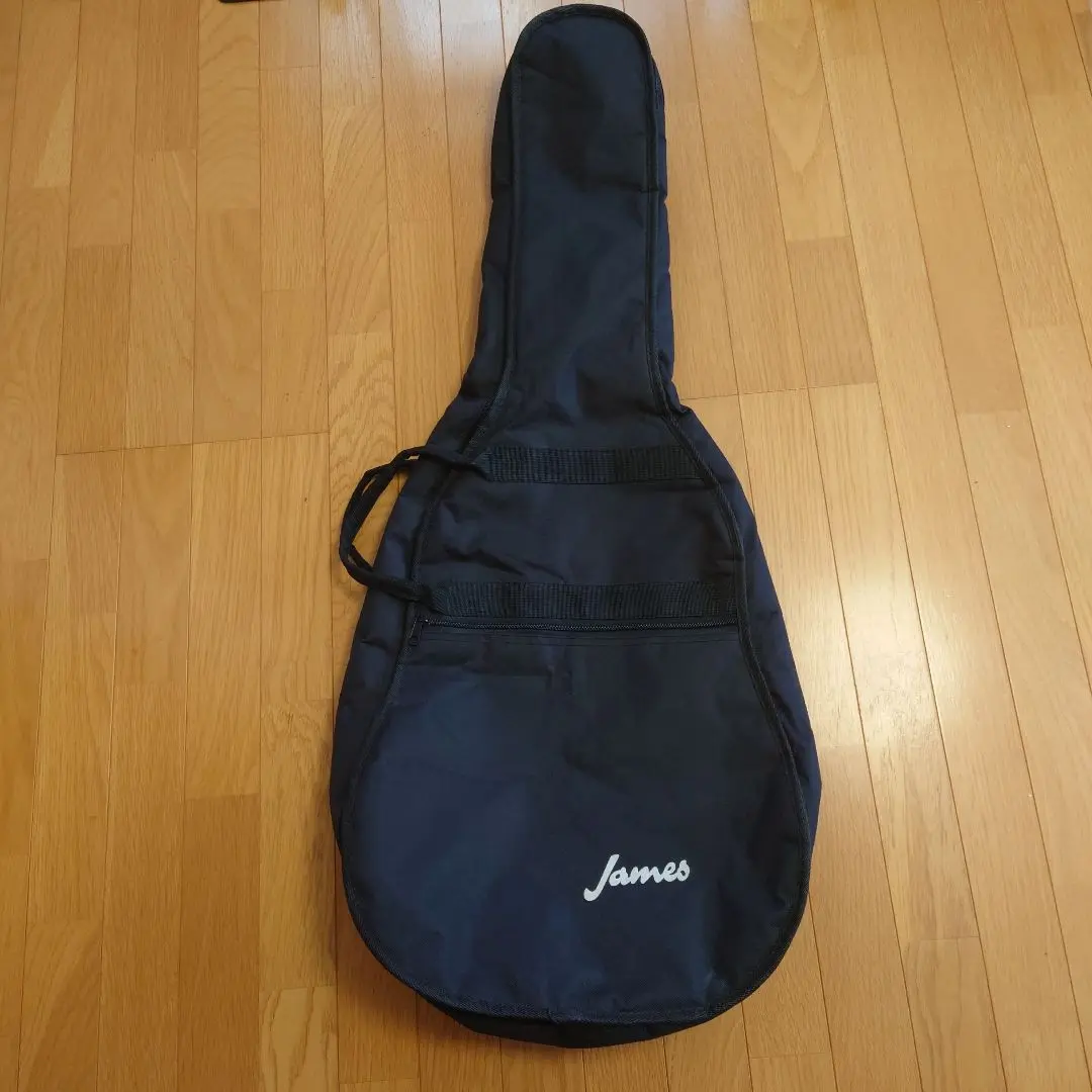 ジェームス James マンドリン JAM300BS ケース付き J-300DII / James / ジェームス アコースティックギター / 単品