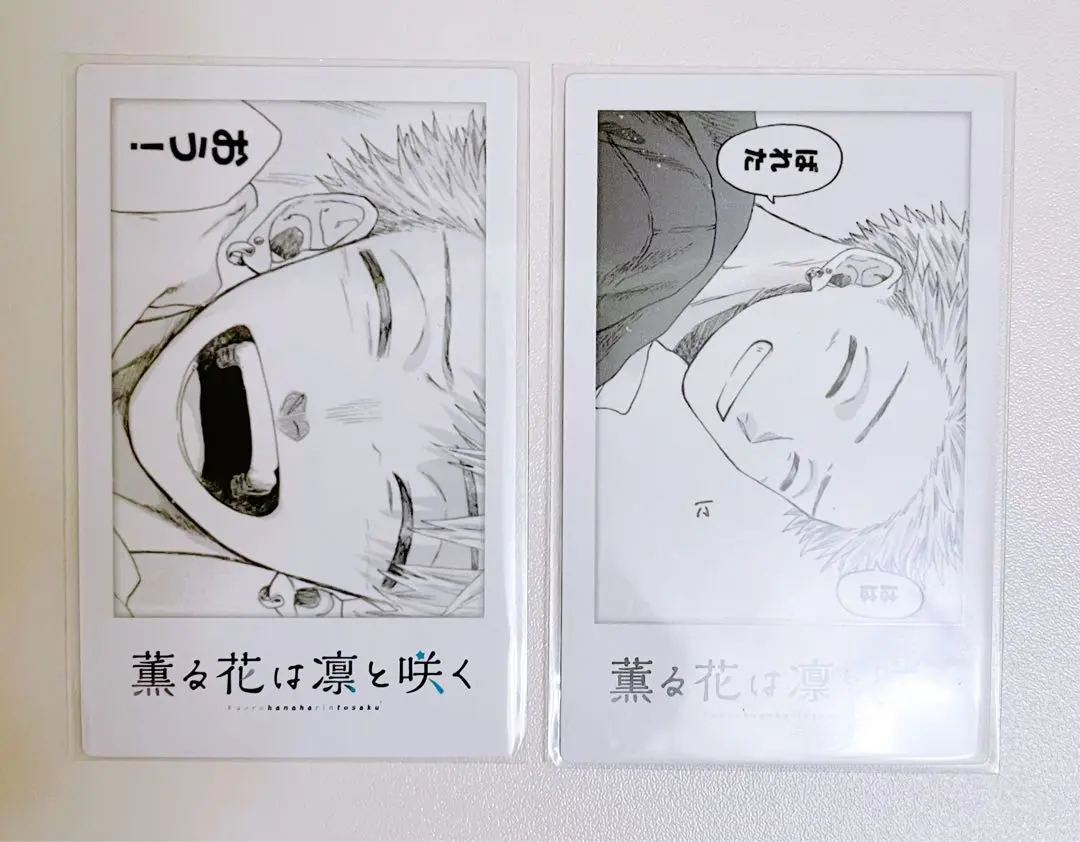 Thumbnail of Kaoru Hana wa Rinto Saku - Rintaro Tsumugi Shibuya POPUP Cheki (Polaroid)