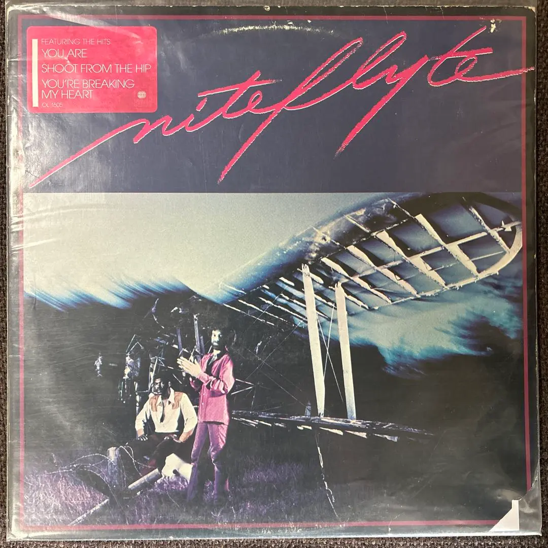 2025年最新】niteflyte レコードの人気アイテム - メルカリ
