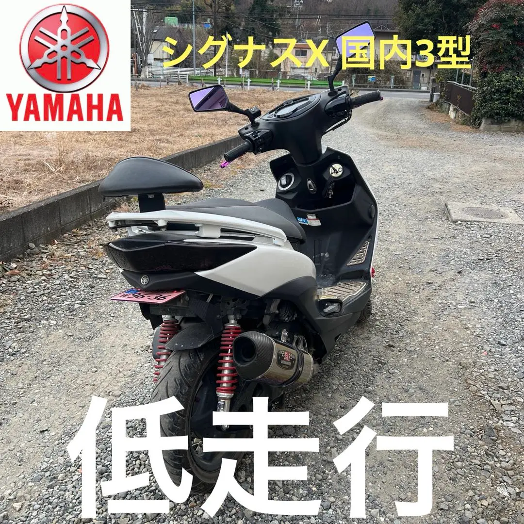 2025年最新】シグナス5型 テールの人気アイテム - メルカリ
