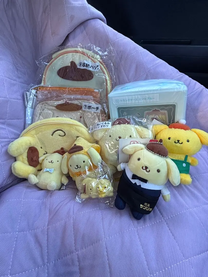 Thumbnail of Pompompurin plushie