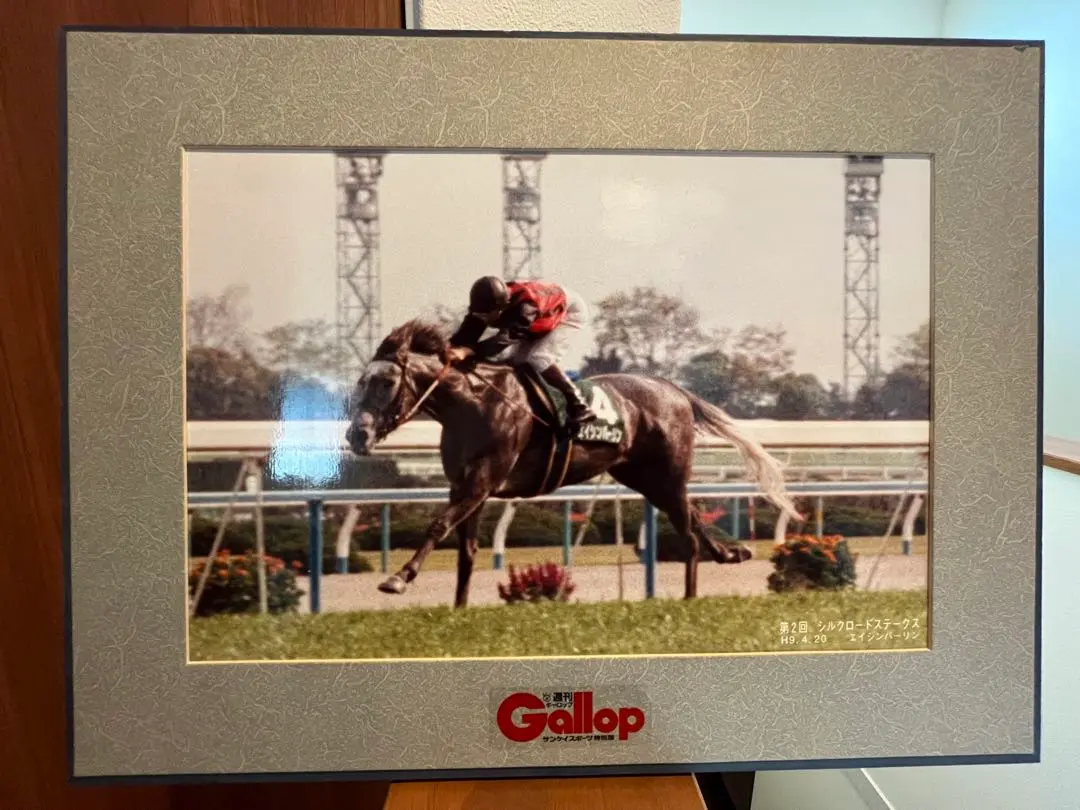 アグネスゴールド 週刊Gallop パネル 2025年最新】パネル gallopの人気アイテム - メルカリ