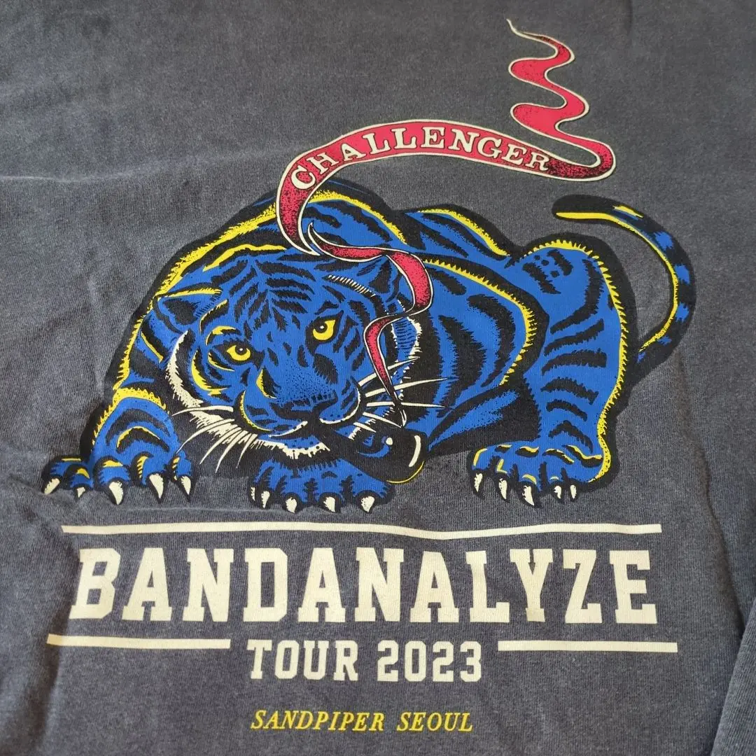 2025年最新】CHALLENGER BANDANA LYZEの人気アイテム - メルカリ