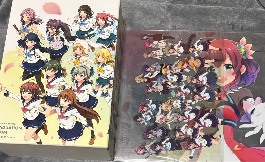 Amazon.co.jp: バトルガールハイスクール 星守卒業アルバム : ホビー