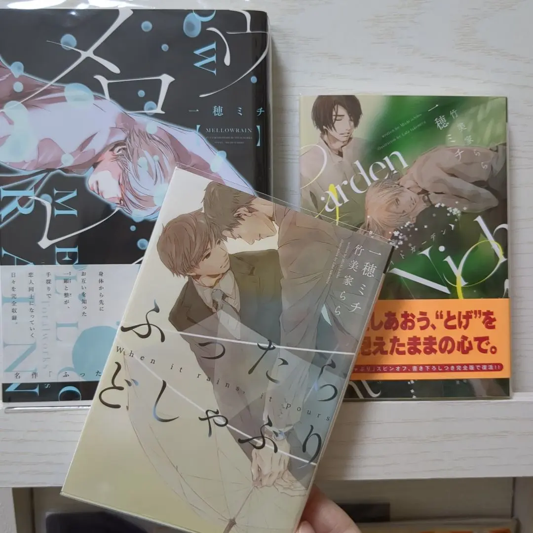 【中古】 ナイトガーデン/ＫＡＤＯＫＡＷＡ/一穂ミチ ナイトガーデン 完全版 (ディアプラス文庫) | 一穂 ミチ, 竹美家
