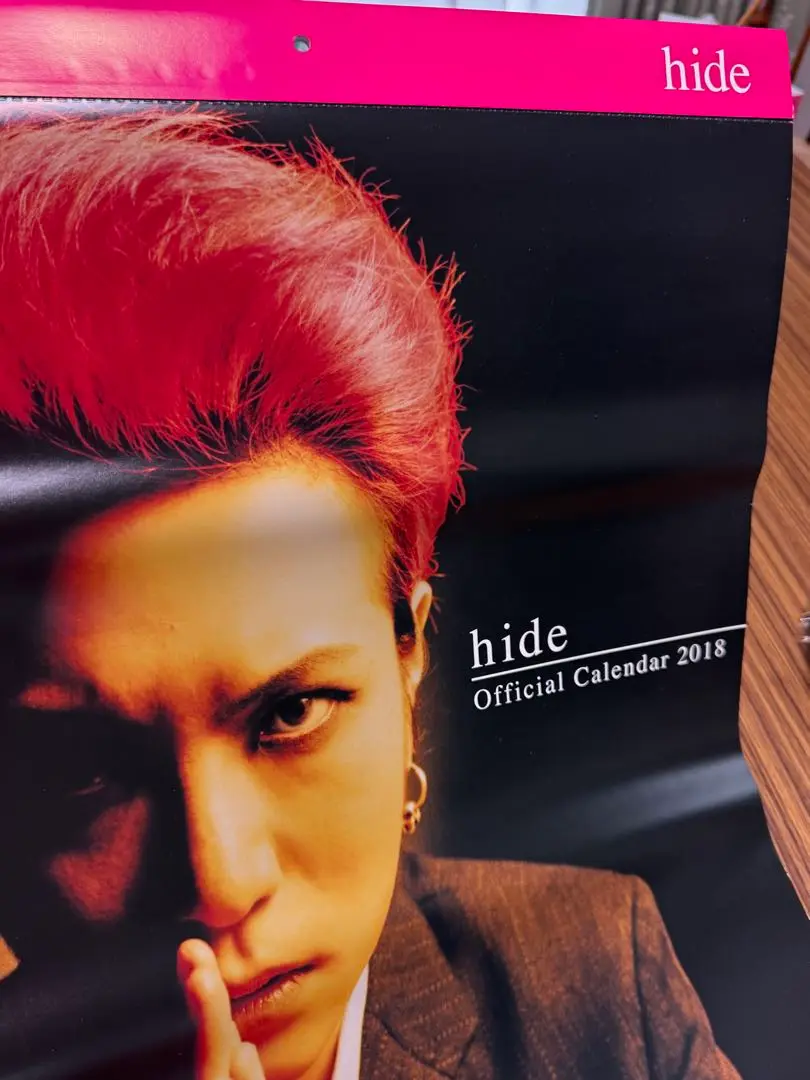 【セット販売】hide closet collection&ギターコレクション hide closet collectionの圧巻な内容についてvol.1 (ギター編