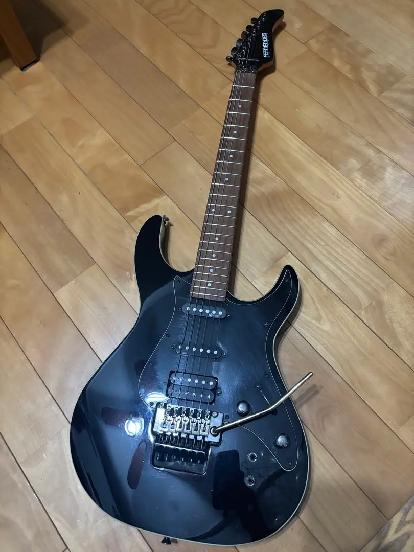 2025年最新】フェルナンデス サスティナー ギターの人気アイテム