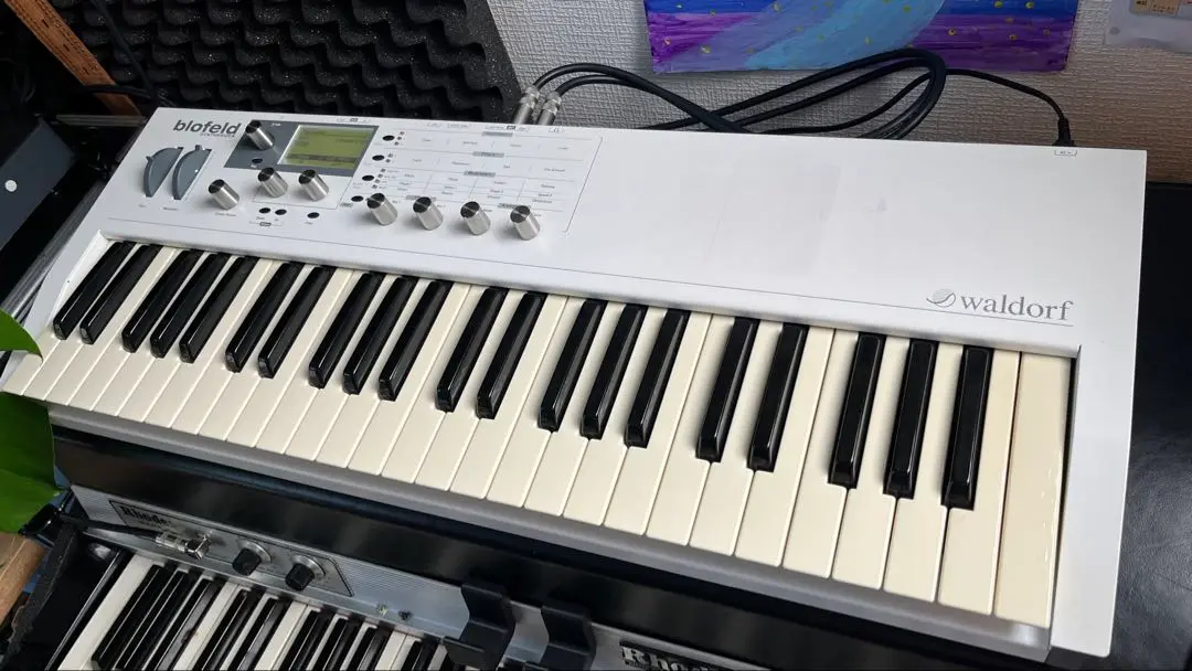 2025年最新】waldorf blofeldの人気アイテム - メルカリ
