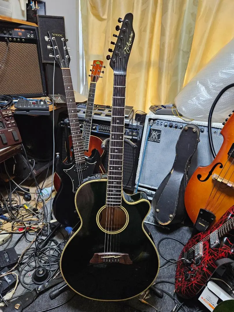 2025年最新】takamine npt-110の人気アイテム - メルカリ