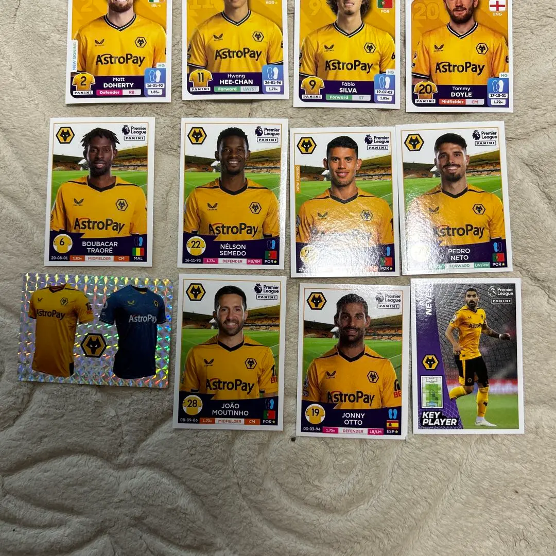 【新品未使用品】ウォルバーハンプトン PRO プレレマッチ トレーニングTシャツ 2025年最新】ウォルバーハンプトンの人気アイテム - メルカリ