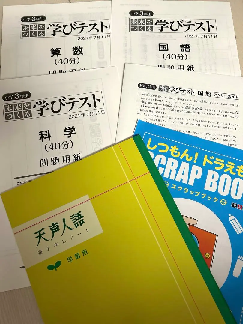 未来をつくる学びテスト2年分過去問プリント　仲間の記述例付 未来をつくる学びテスト2年分過去問プリント 仲間の記述例付