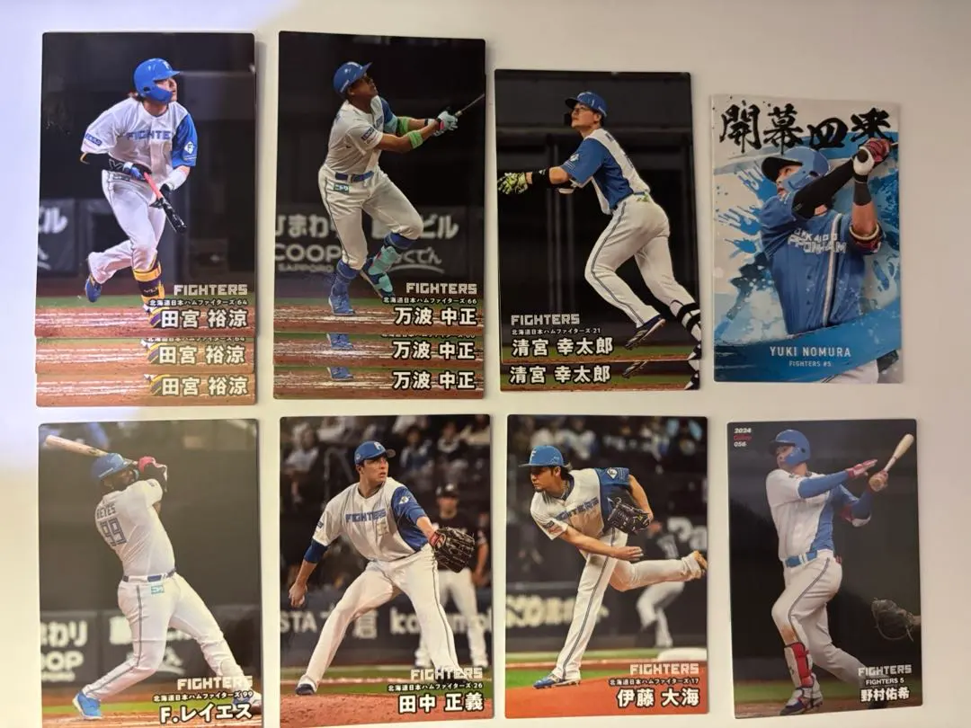 Thumbnail of Pro Baseball Chips Card Hokkaido Nippon-Ham Fighters