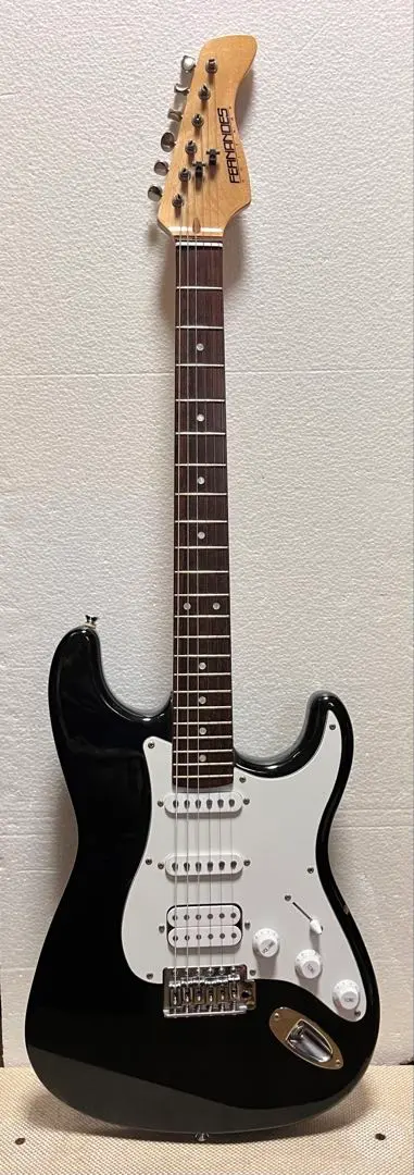2025年最新】Fernandes LE-1Zの人気アイテム - メルカリ