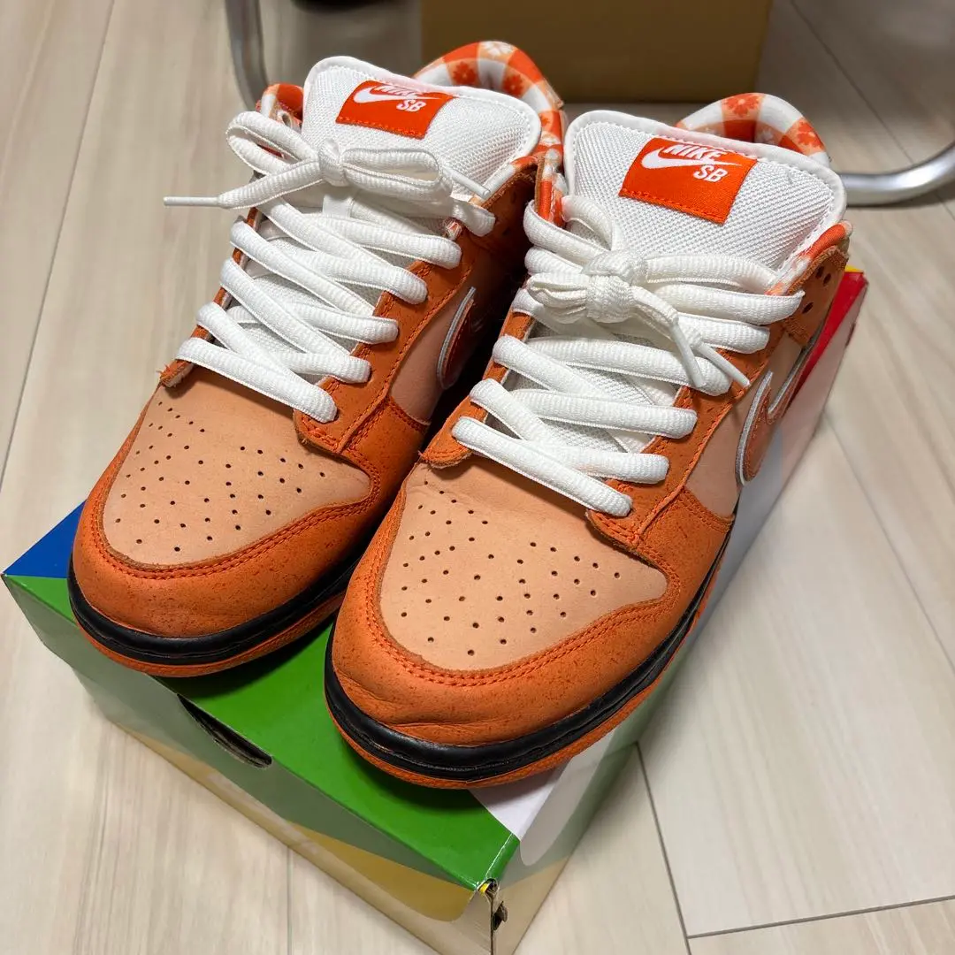 2025年最新】nike sb dunk low og qs orange lobsterの人気