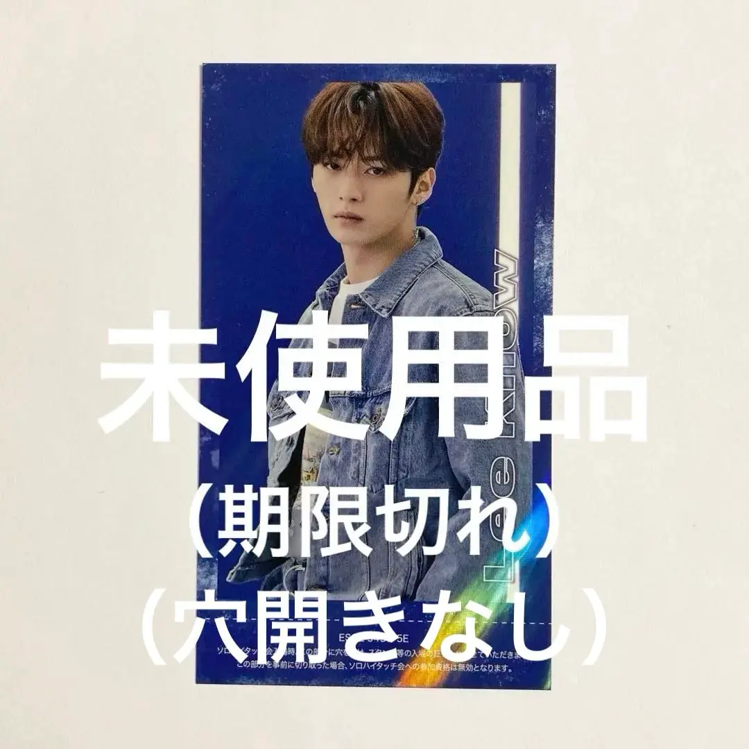リノ ハイタッチ券 5枚セット Stray Kids スキズ TOP リノ ハイタ ハイタッチ券