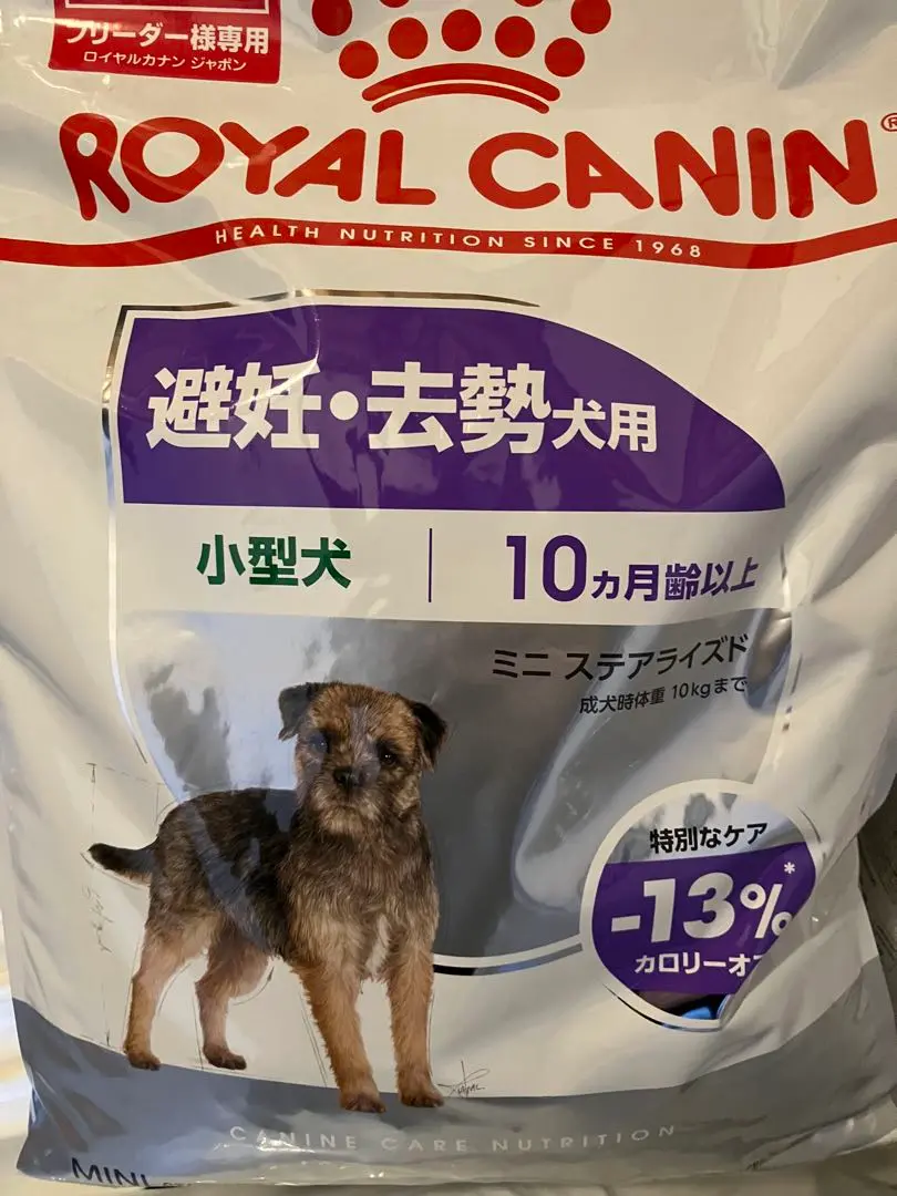 5月28日発送 ロイヤルカナン ミニステアライズド8kg ロイヤルカナン ミニステアライズド 800g（3182550902434）｜犬