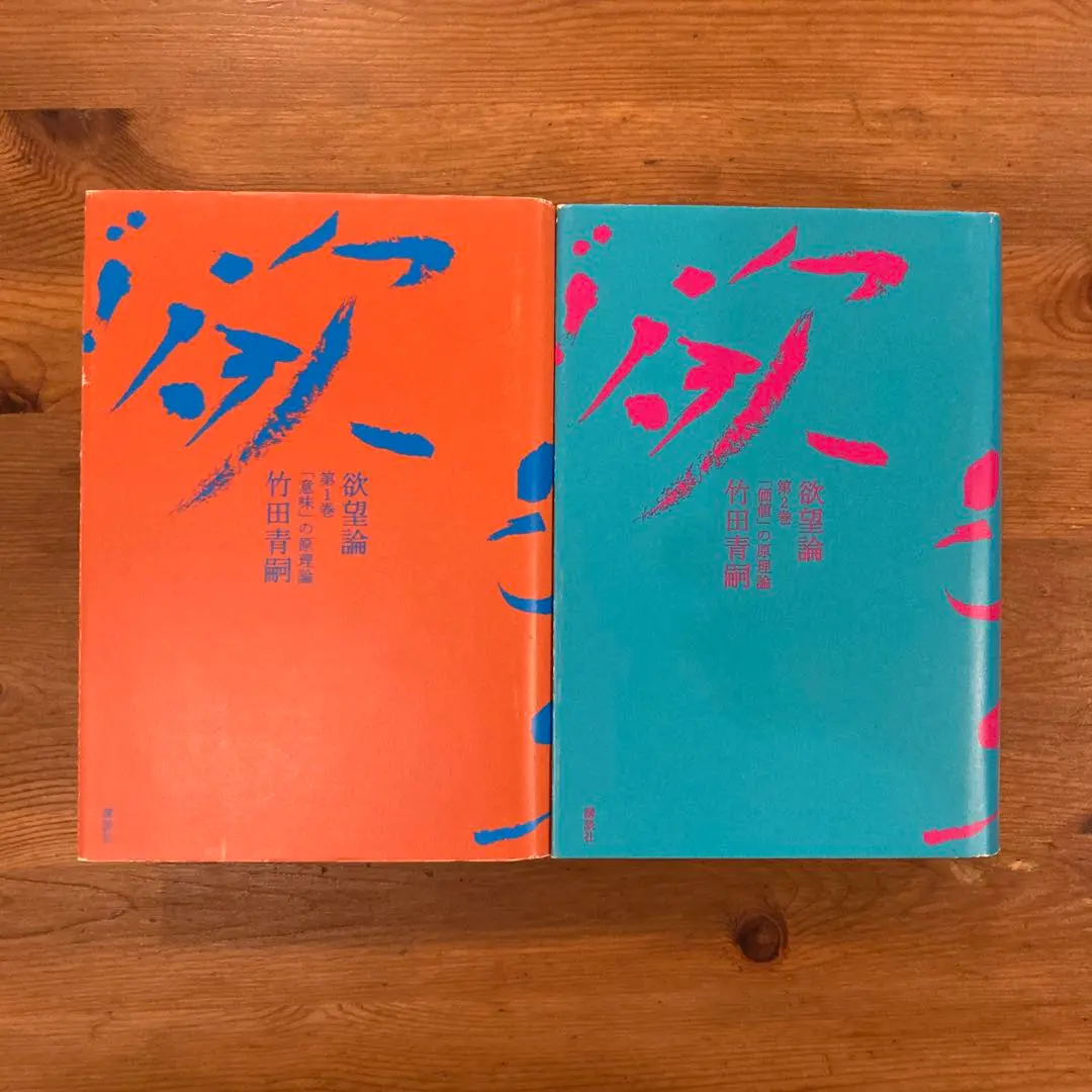 竹田青嗣『欲望論』2冊セット 2025年最新】欲望論 竹田青嗣の人気アイテム - メルカリ