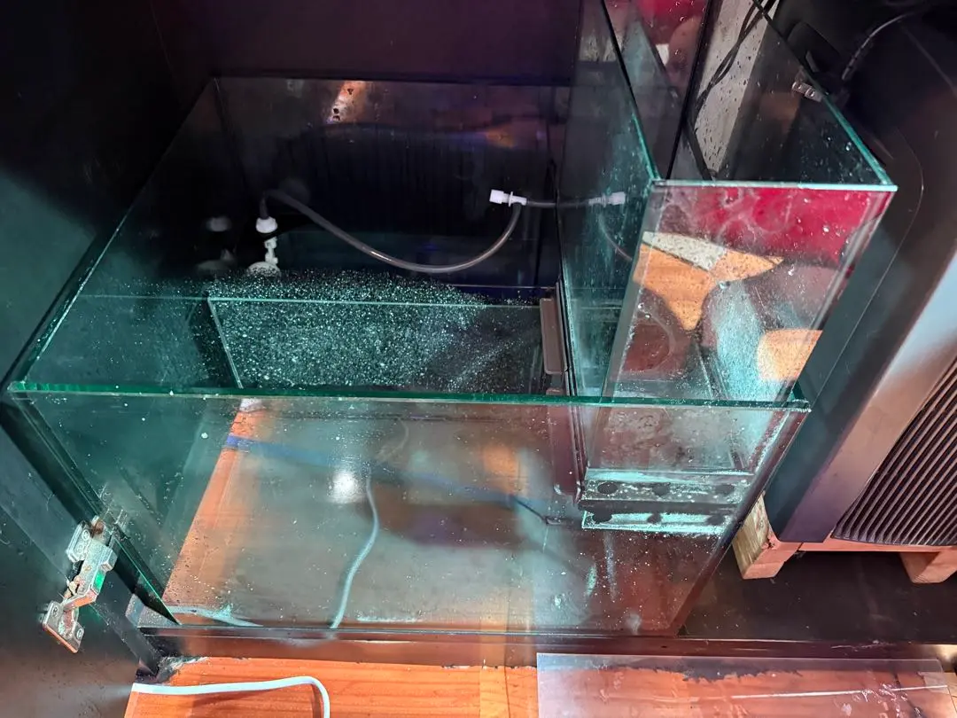 値下げしました　引取希望　レッドシーリーファーナノ　他クーラーなどセット 値下げしました 引取希望 レッドシーリーファーナノ 他クーラー