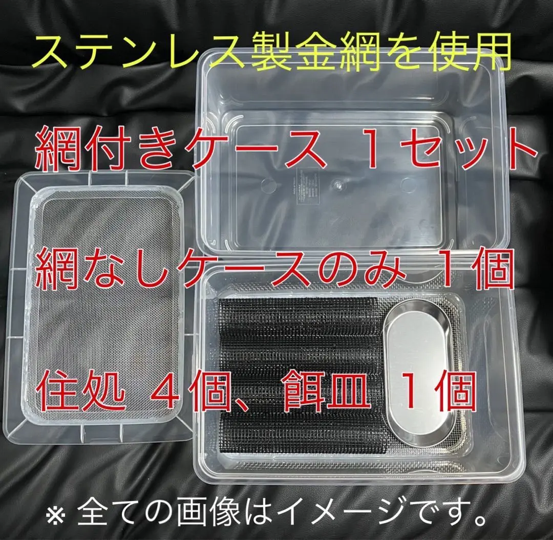 雫工房　フルセット！デュビア飼育繁殖ケージ　中型プラス　二重底上段メッシュ底構造 m23603151727_1.jpg?1753794611