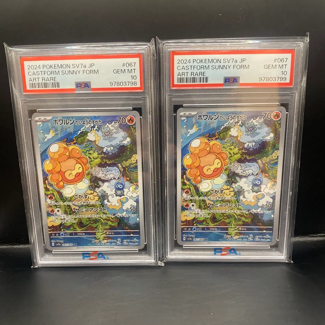 2025年最新】ポワルン ar psa10の人気アイテム - メルカリ