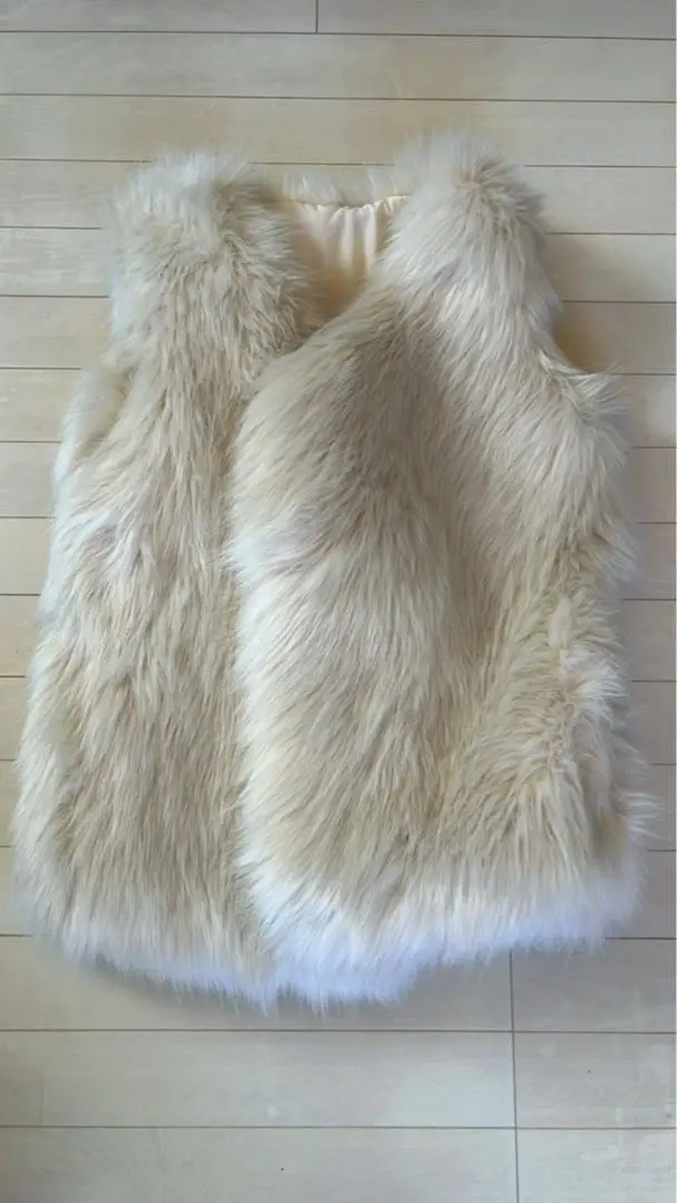 2025年最新】vegan fur giletの人気アイテム - メルカリ