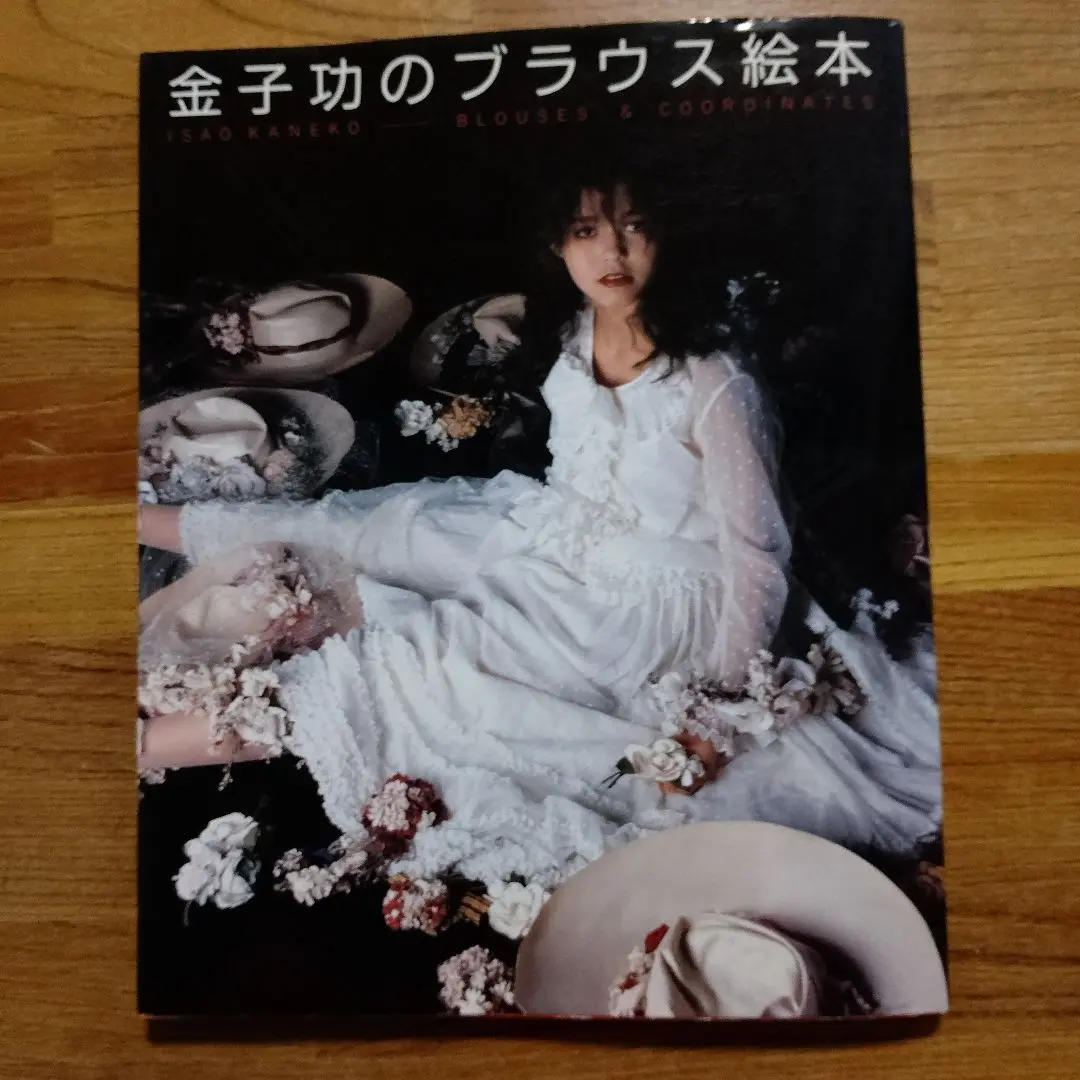 金子功のブラウス絵本 Amazon.co.jp: 金子功のブラウス絵本 : 金子 功: 本