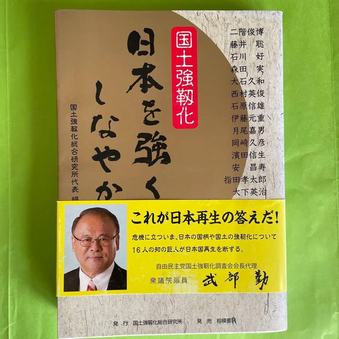 Thumbnail of National Resilience: Strengthening and Making Japan Flexible