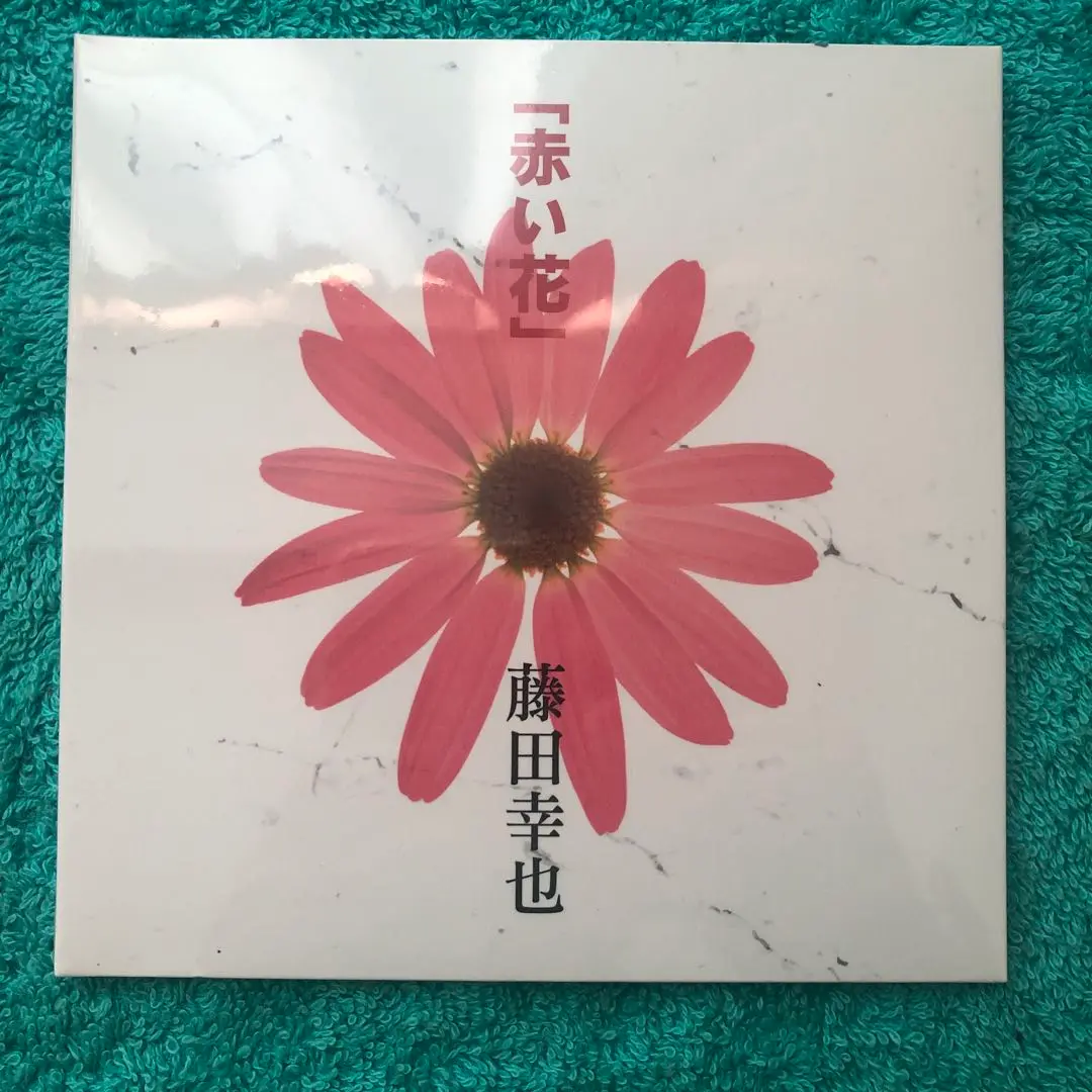 JILS 赤い花 アコースティックバージョン D≒SIRE 藤田幸也 Kαin 藤田幸也、4名のゲストギタリストを迎えて＜赤い花＞20周年記念