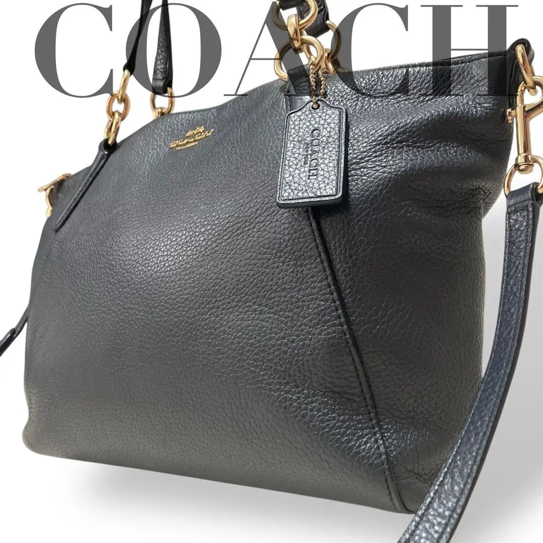 値下げOK 極美品 COACH コーチ F28993 レザー バッグ