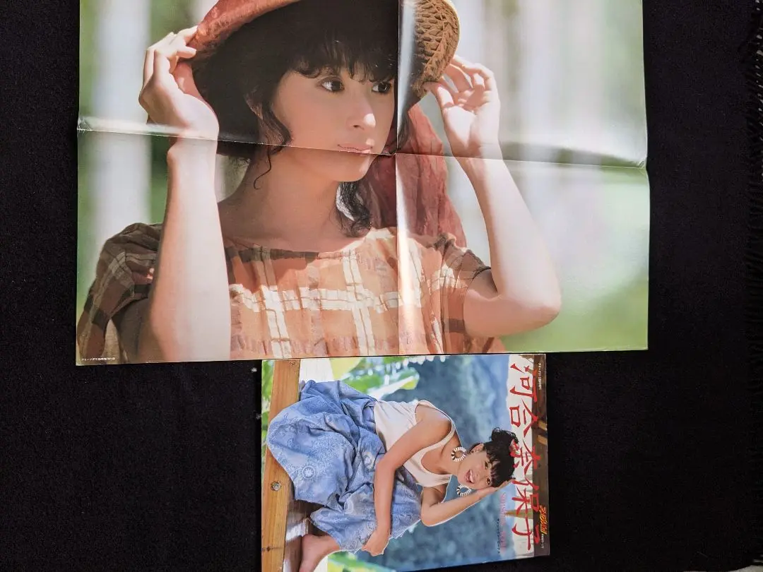 河合奈保子写真集 サンシャイン・ビーナス アリーナ37°C臨時増刊 ポスター付 美品 河合奈保子写真集 SUNSHINE VENUS アリーナ37℃臨時増刊